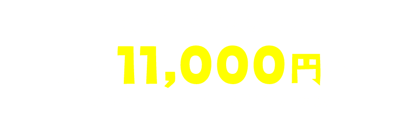 ⽉々11,000円〜（税込）