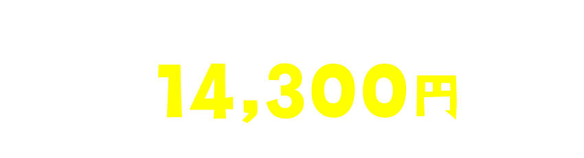 ⽉々14,300円〜（税込）